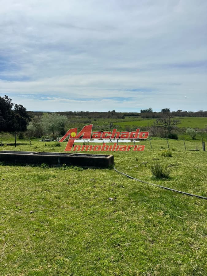 Chacra en venta San Carlos