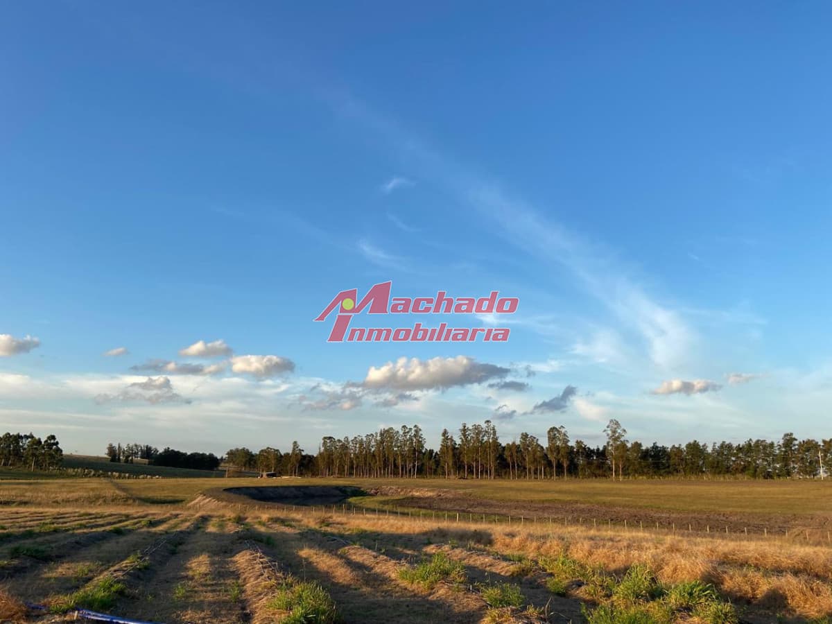 Chacra en venta a 3km del Hotel Fasano