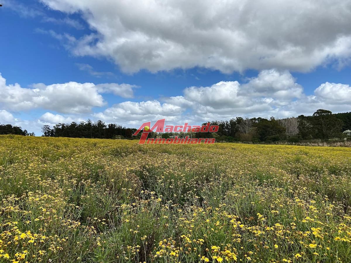 Chacra en venta a 3km del Hotel Fasano