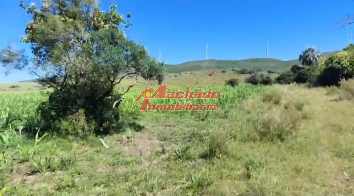 Venta de Chacras de 5 hectáreas cada una en Ruta 39