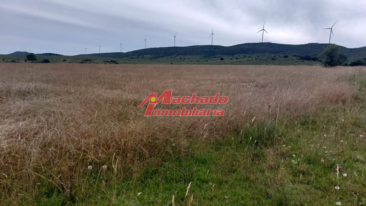 Venta de Chacras de 5 hectáreas cada una en Ruta 39