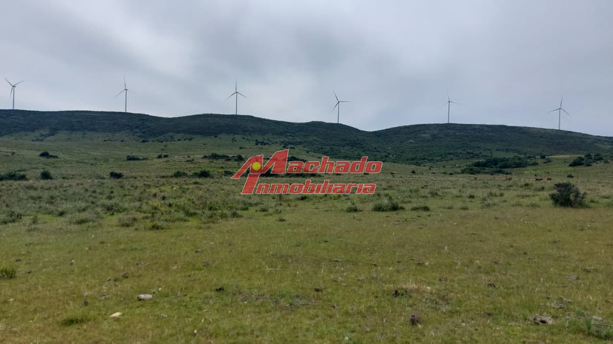 Venta de Chacras de 5 hectáreas cada una en Ruta 39