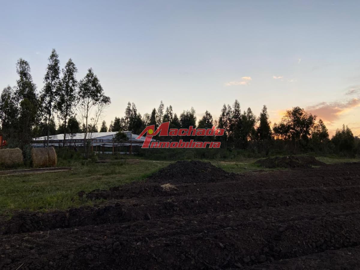 Chacra en venta a 3km del Hotel Fasano