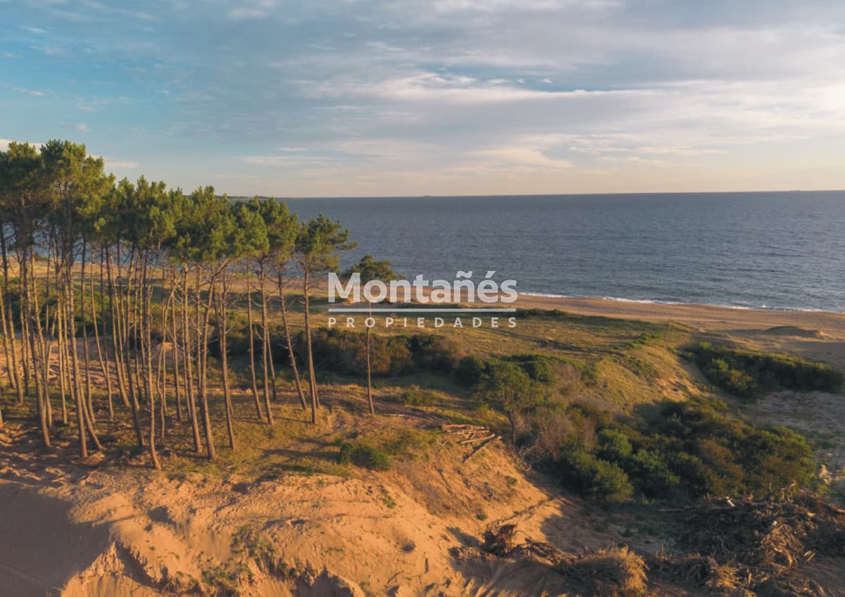 Terreno ID.10549 - Donde el bosque y el mar construyen valor!!  ASTRA