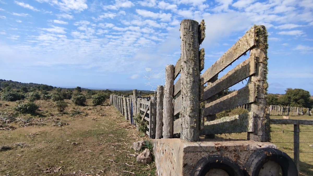 Campo de 80 hectáreas en la zona del Cerro Catedral