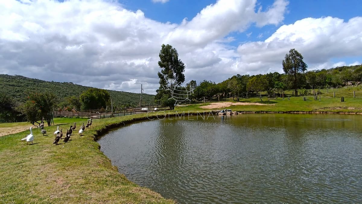 Campo de 39 hectareas con casa en venta, zona Cerro Catedral