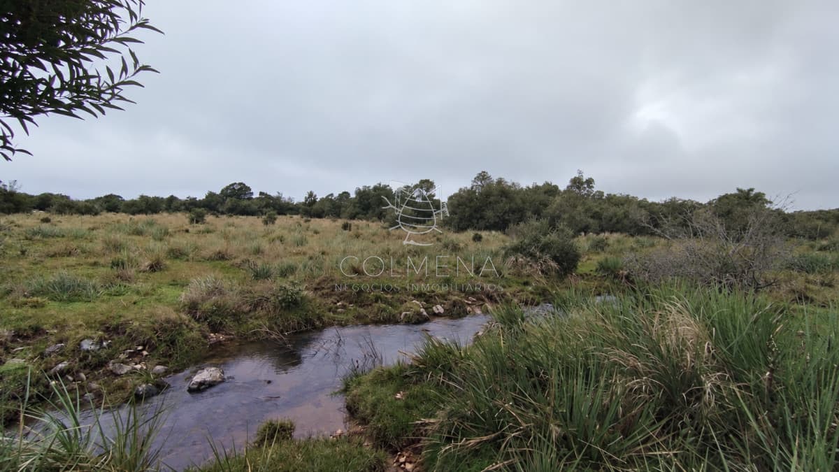 Campo de 80 hectáreas en la zona del Cerro Catedral