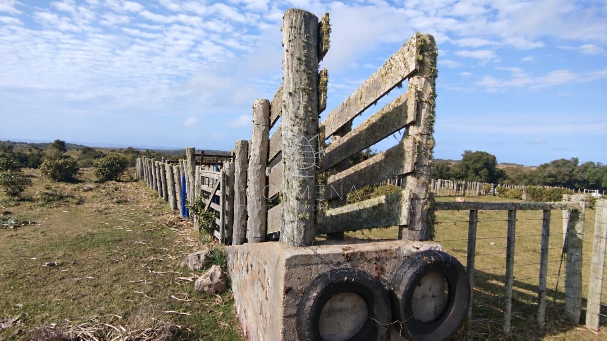Campo de 80 hectáreas en la zona del Cerro Catedral