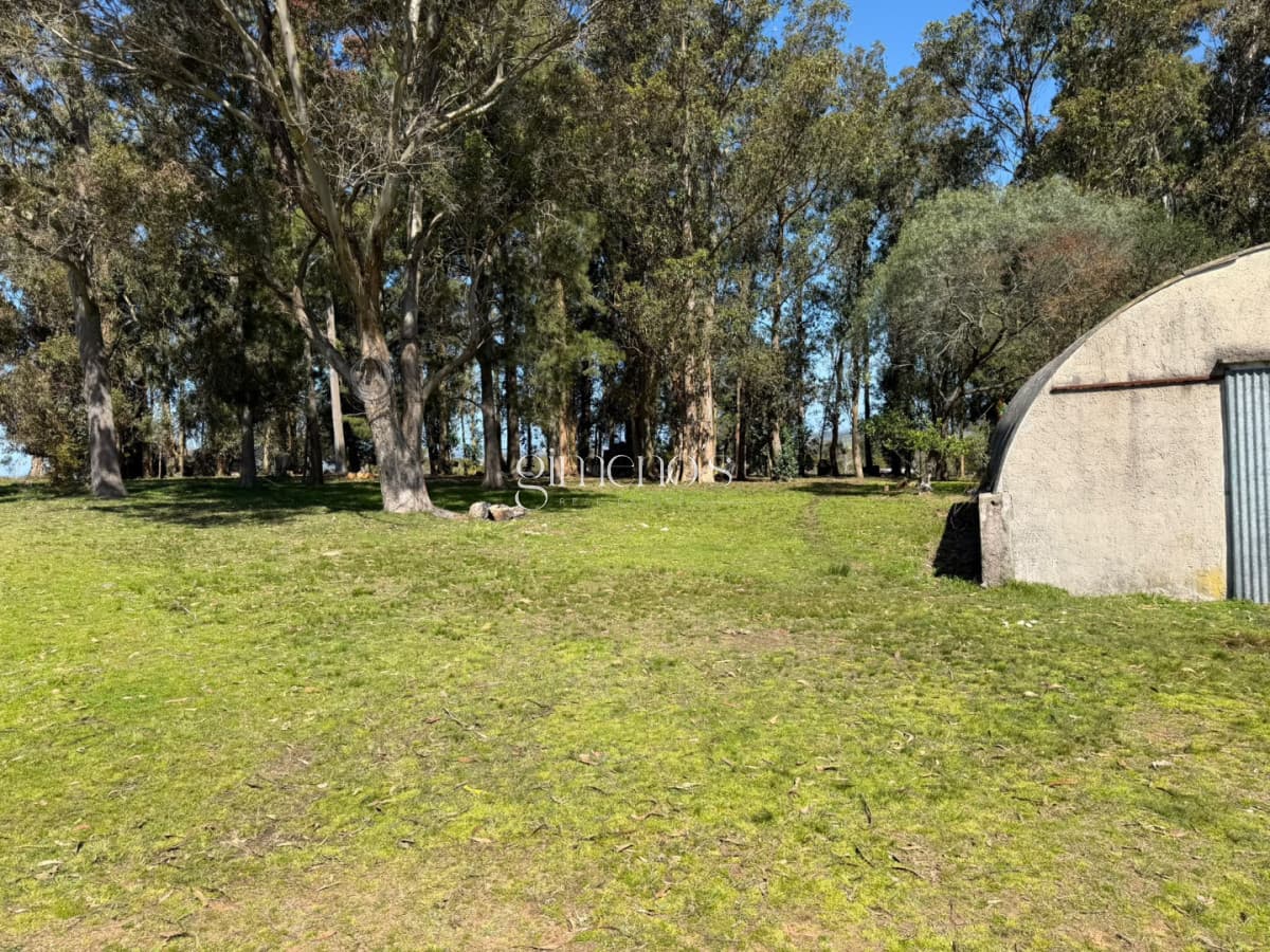 Chacra 7 has en Venta - Ruta 39 - San Carlos