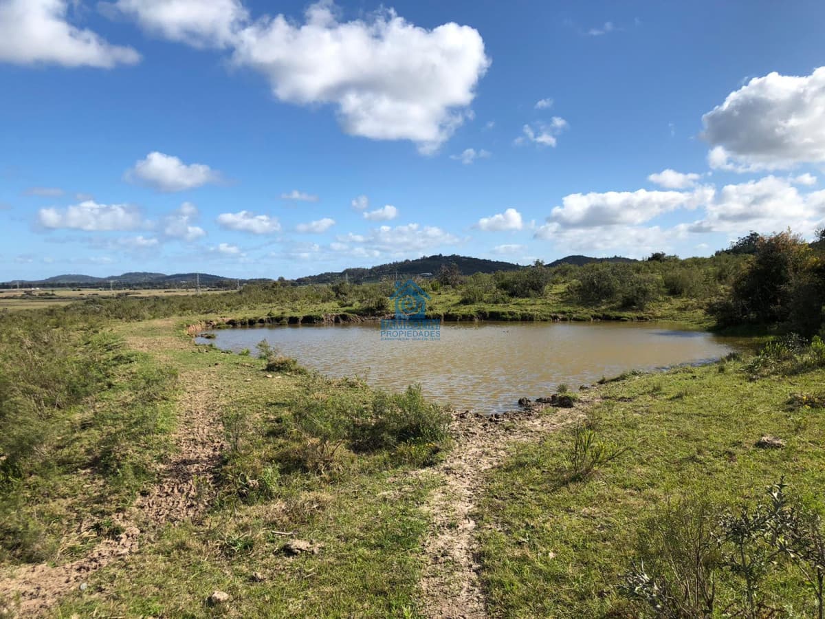 Hermoso Campo para Fraccionamiento  -