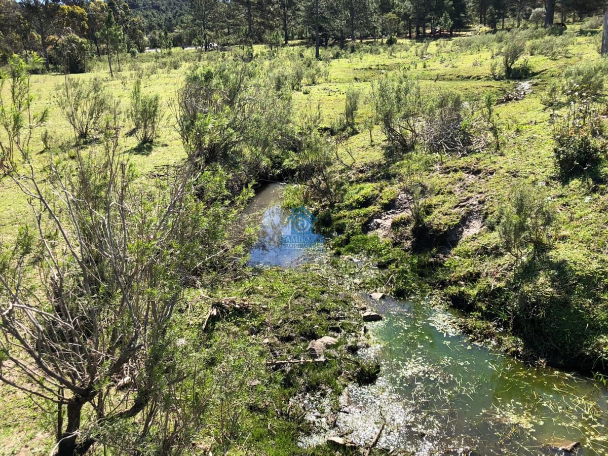 Hermoso Campo para Fraccionamiento  -