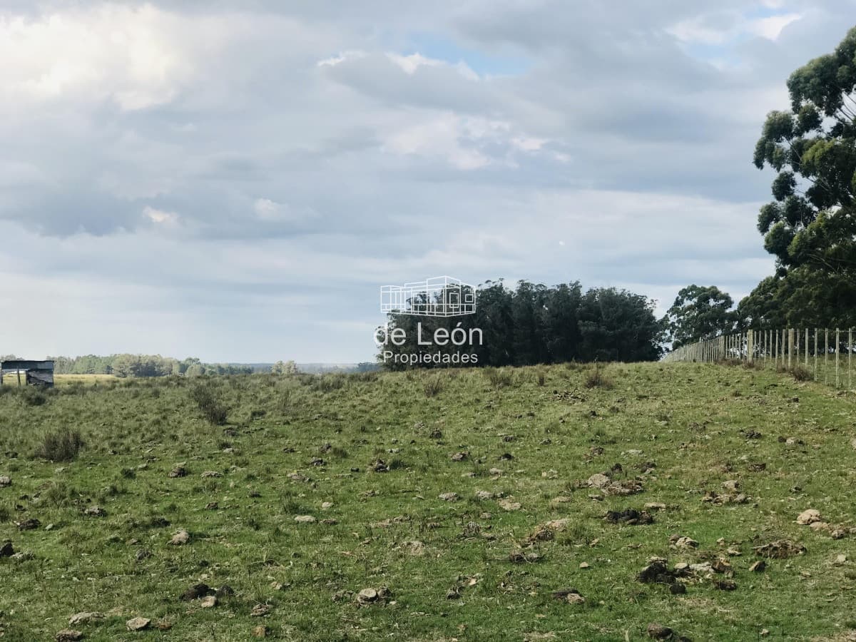 Campo en venta sobre Ruta 104 La Barra