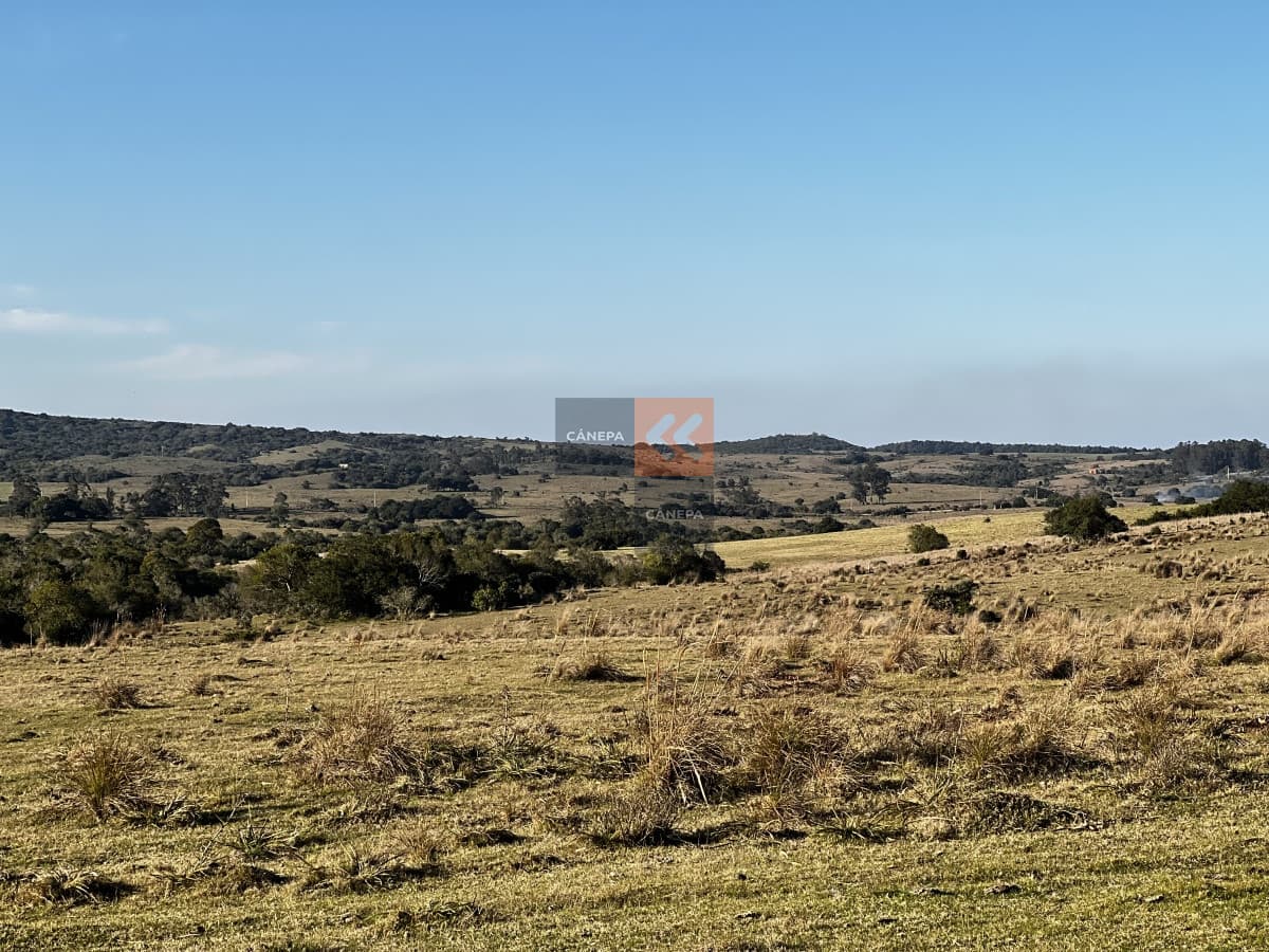 Campo en venta en Garzón