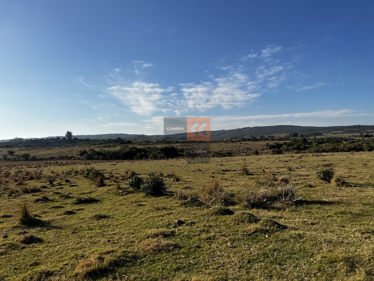 Chacra en Garzón a la venta a 5 kmts del Pueblo y a 30 kmts de Jose Ignacio