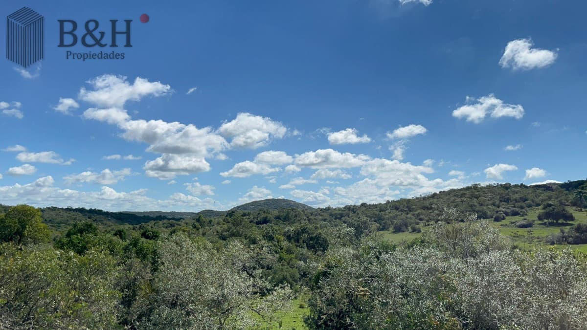 Chacra en ruta 39 antes de Aigua