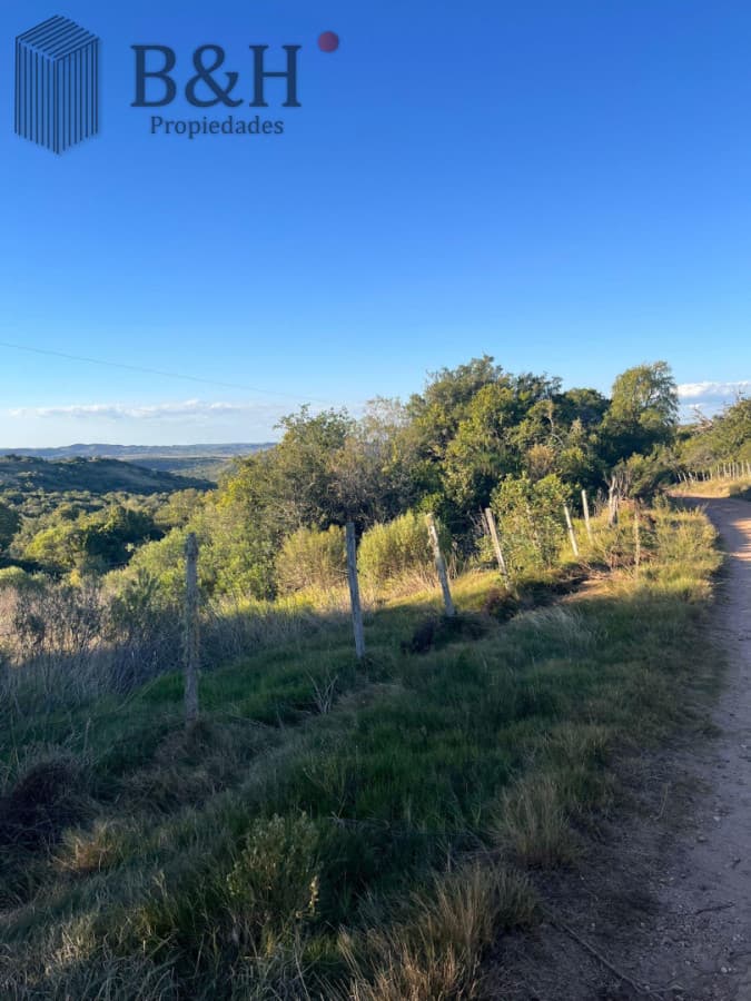 Chacra en ruta 39