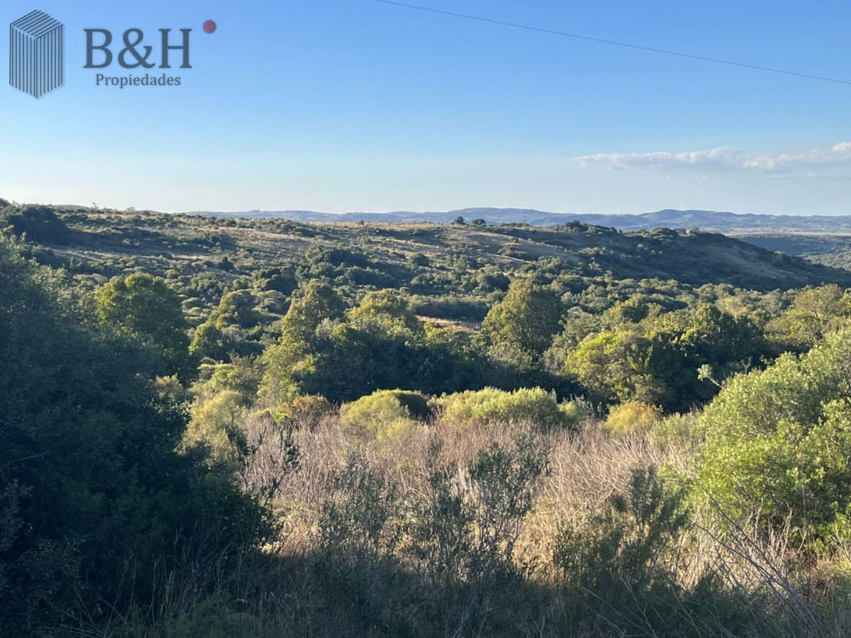 Chacra en ruta 39 antes de Aigua