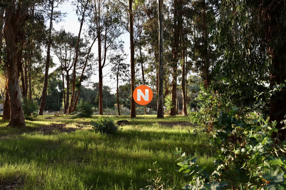 Terreno de Reserva de Montoya