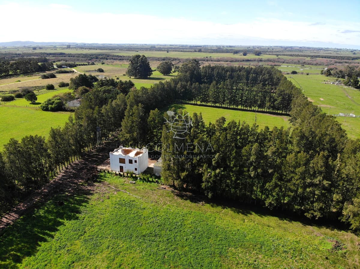 Venta Campo 19 Ha sobre Ruta 39  San Carlos Maldonado