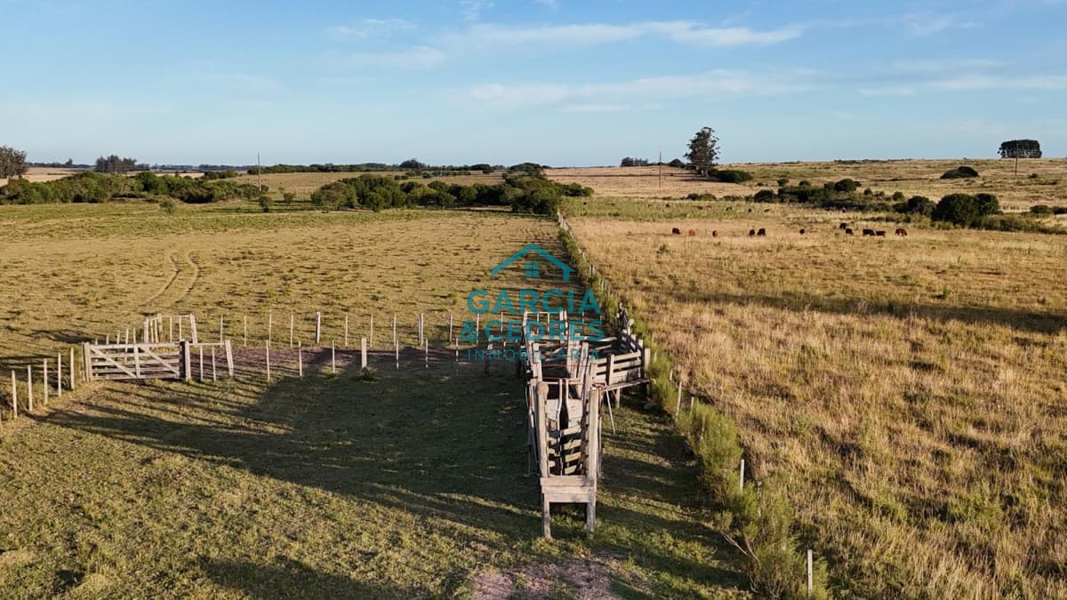 OPORTUNIDAD VENTA DE CHACRA 18 HAS 795 M2 ZONA ZANJA DE CHAVEZ