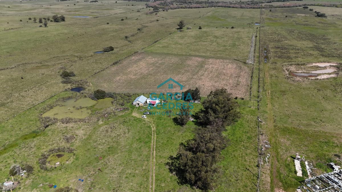 Venta de Campo de 20 has en Ruta 9 con casa y galpones