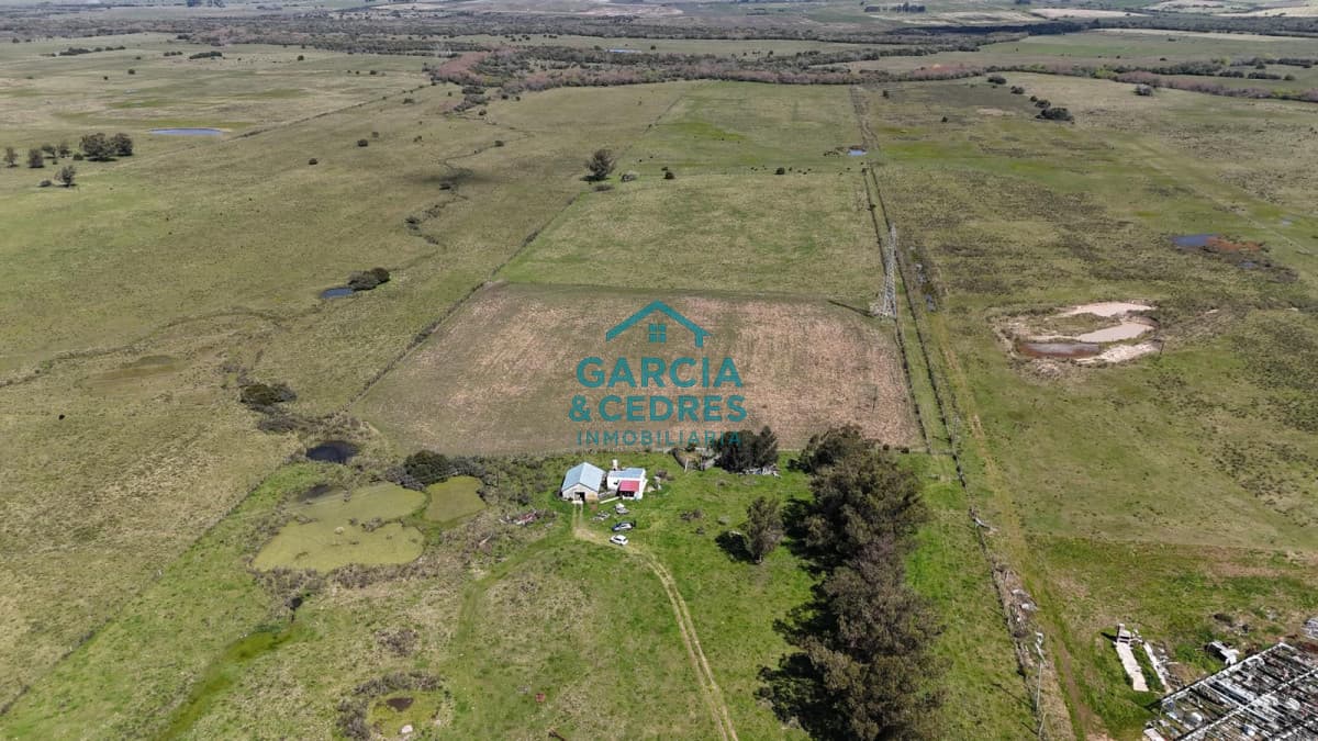 Venta de Campo de 20 has en Ruta 9 con casa y galpones