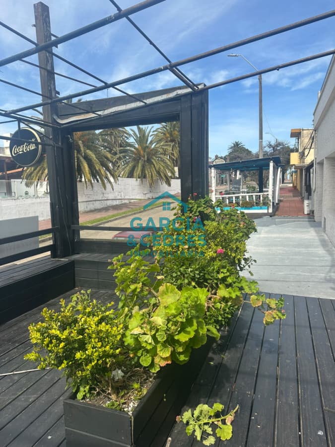 Local Comercial Premium En El Puerto