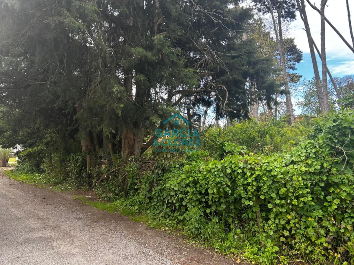 Oportunidad en Cantegril! Terreno de 1.047 m² en Punta del Este