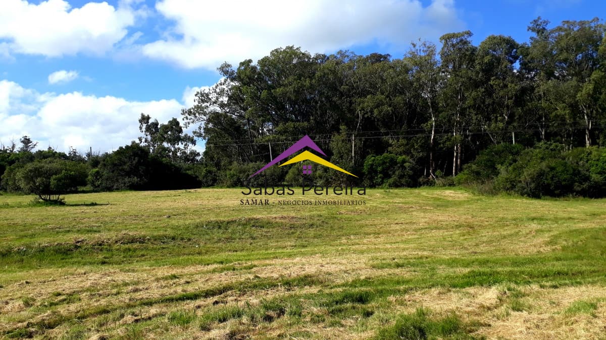 Terreno ID.40885 - Venta terreno 1943m2, Las Flores, Piriápolis, Maldonado