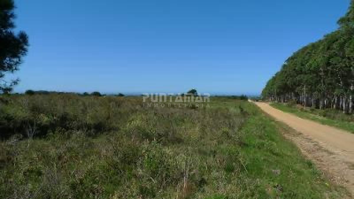 Chacra ID.213148 - Chacras en Rocha venta en