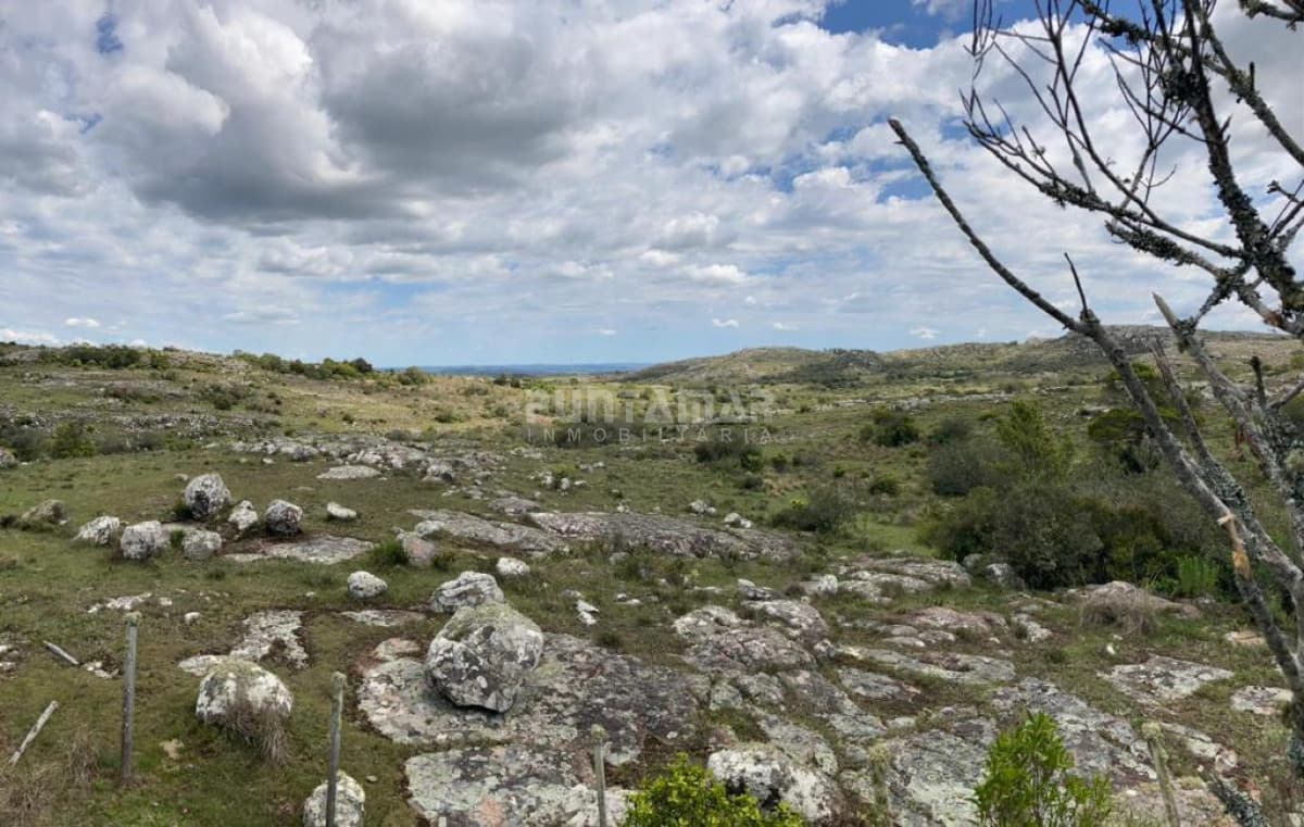 VENTA DE CAMPO DE 12 HAS  CAMINO AIGUA   -