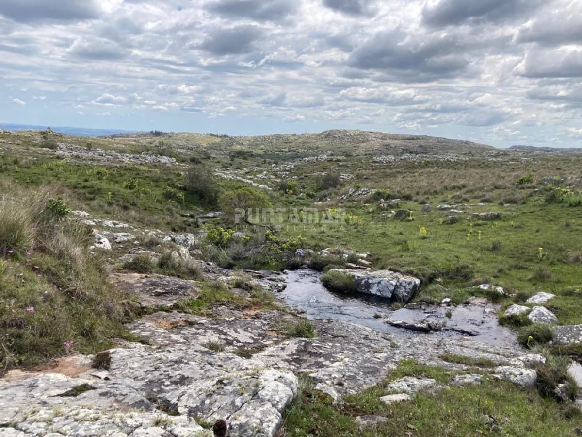 VENTA DE CAMPO DE 12 HAS  CAMINO AIGUA   -