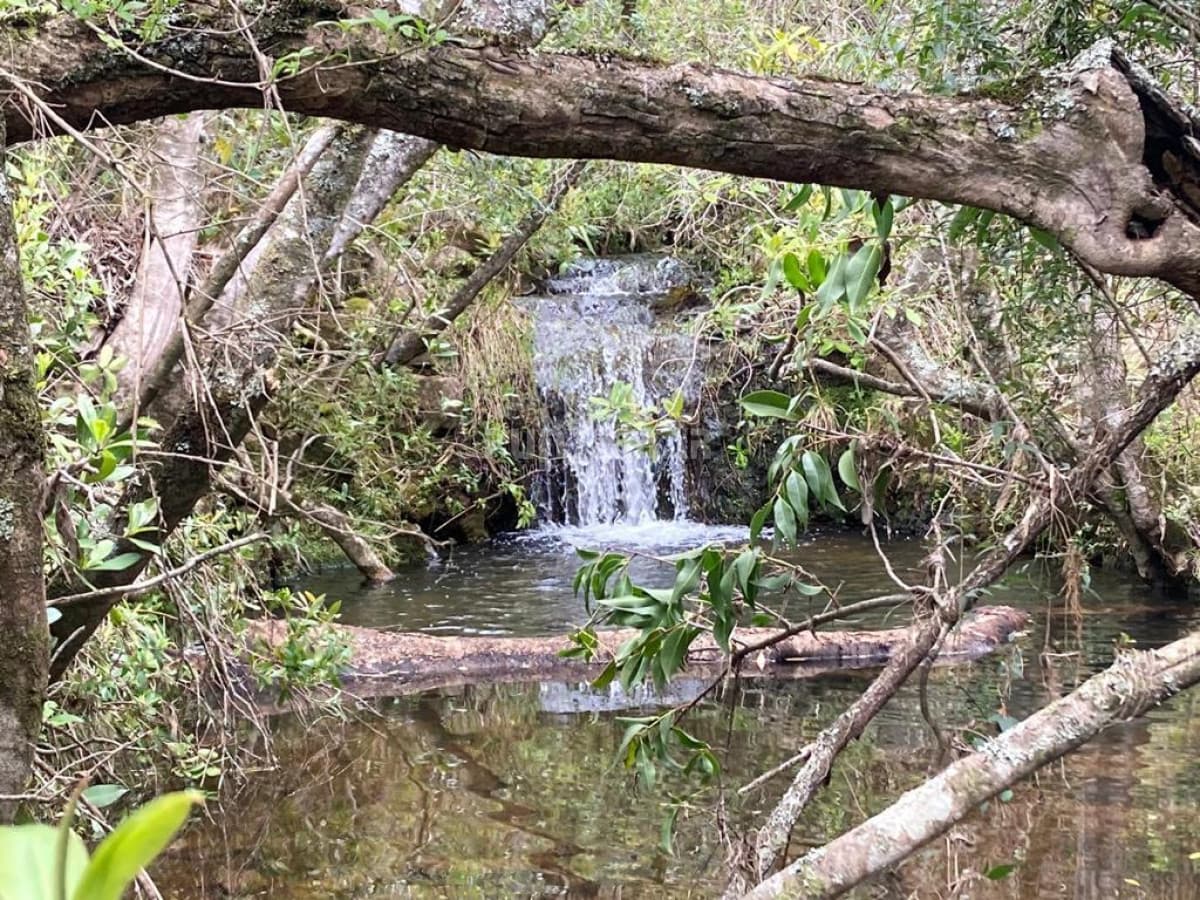 VENTA DE CAMPO DE 12 HAS  CAMINO AIGUA   -