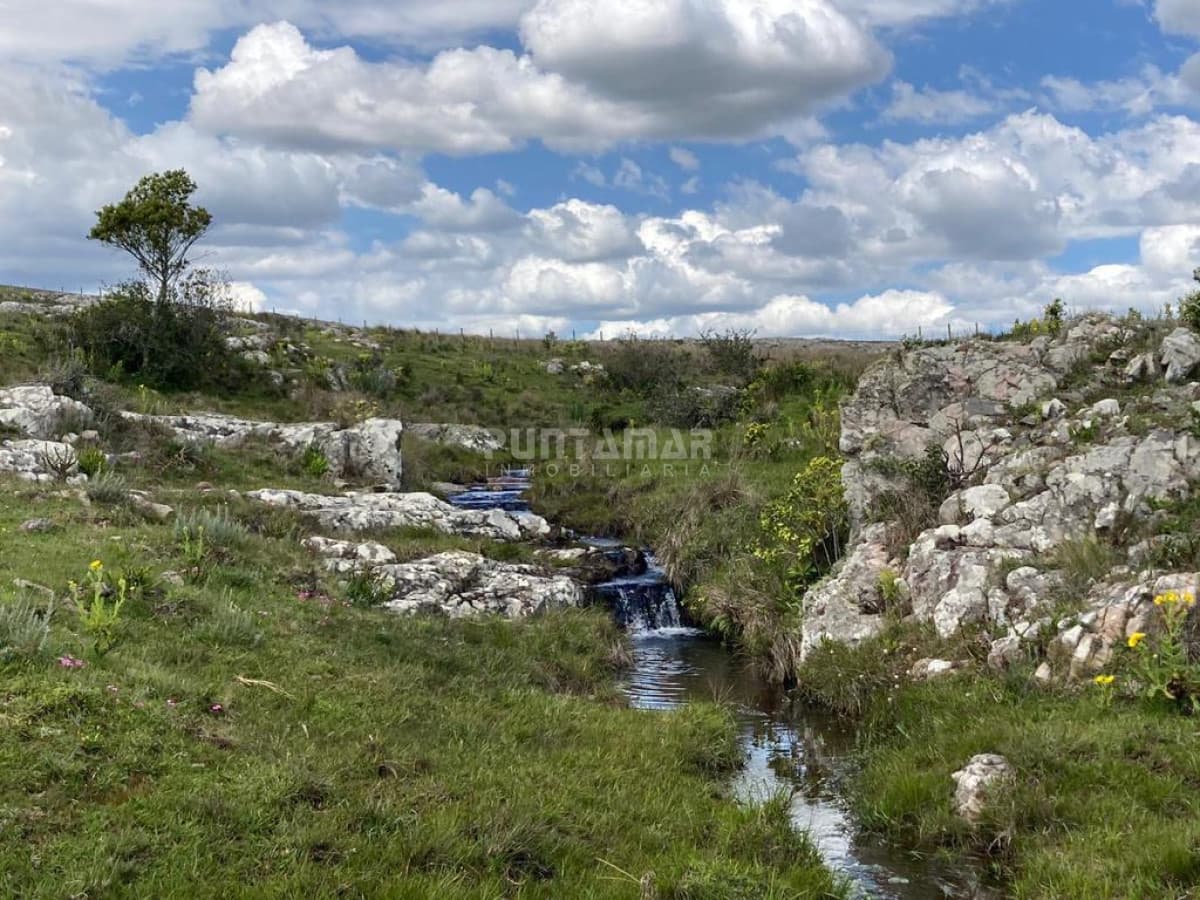VENTA DE CAMPO PRÓXIMO AIGUA 5 HAS  -