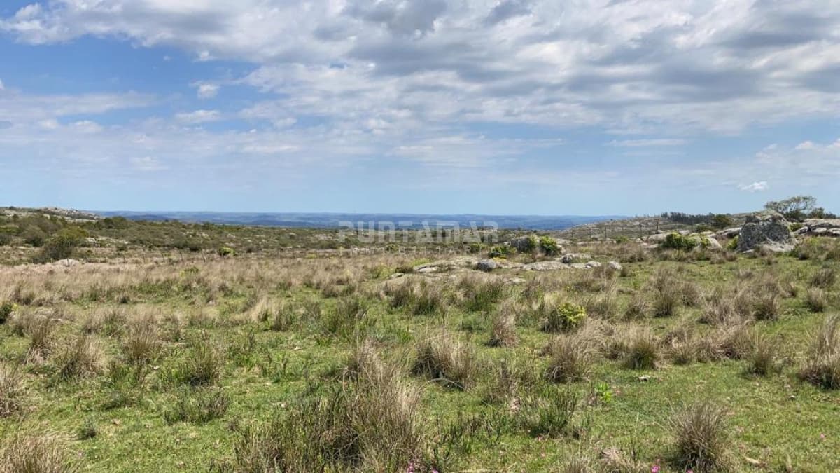 VENTA DE CAMPO PRÓXIMO AIGUA 5 HAS  -