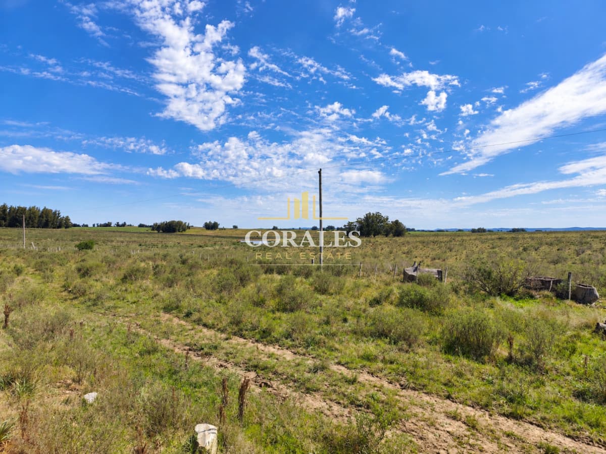 Chacras en venta de 3 ha desde USD 52.000 - Paraje Carlos Cal