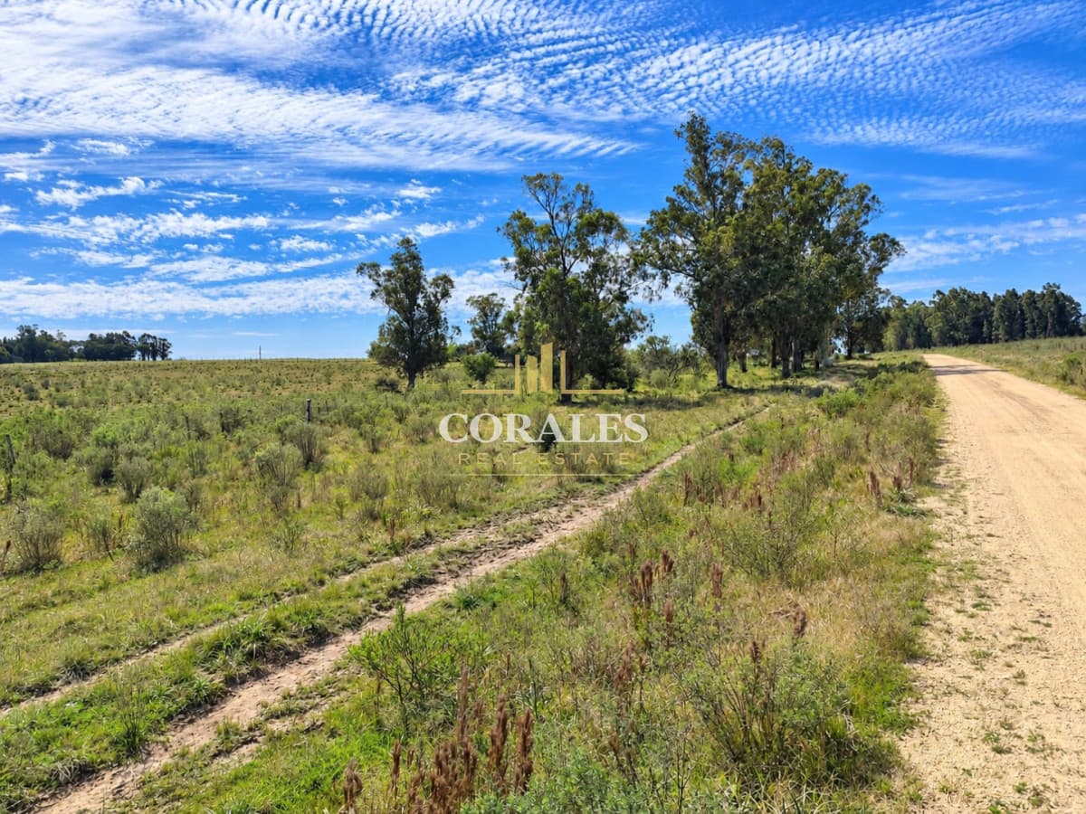 Chacra en venta - Paraje Carlos Cal, Maldonado