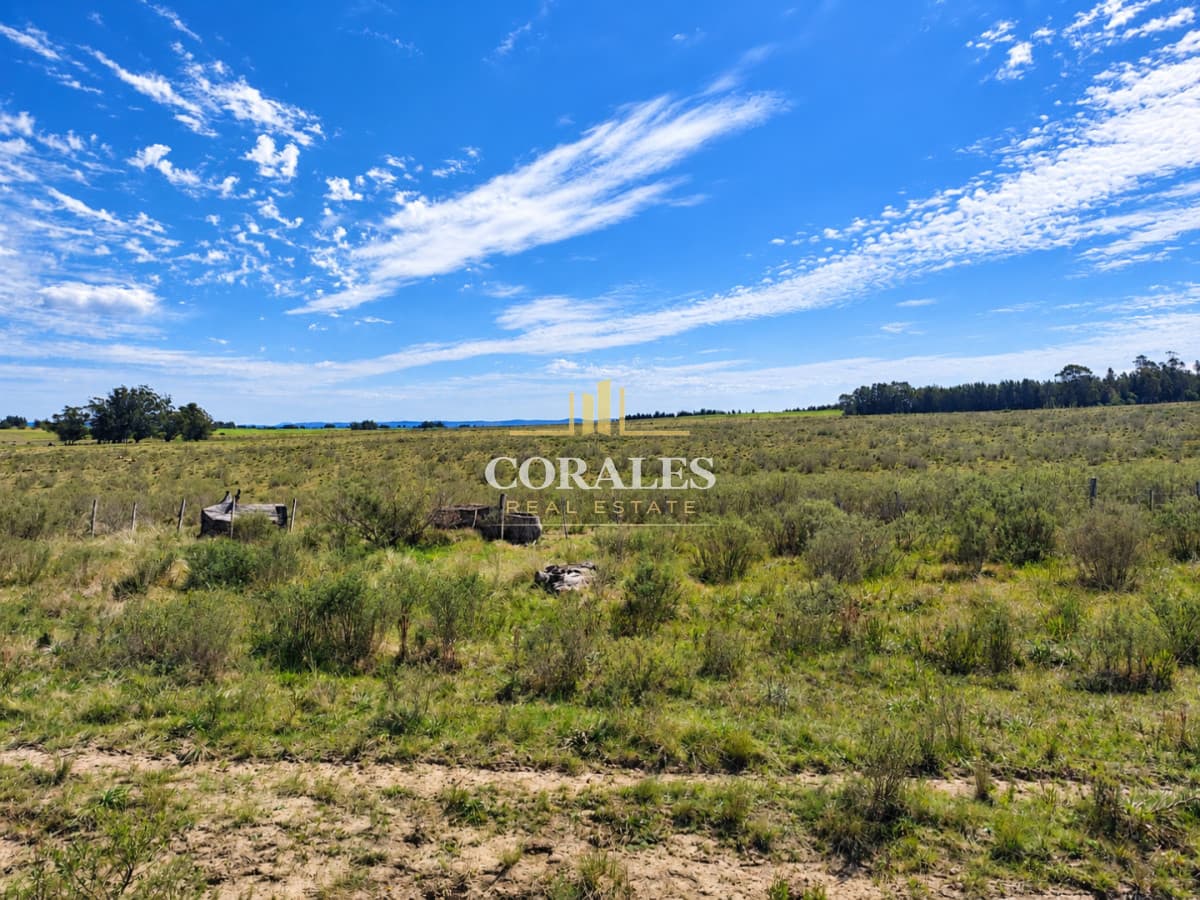 Chacra en venta - Paraje Carlos Cal, Maldonado