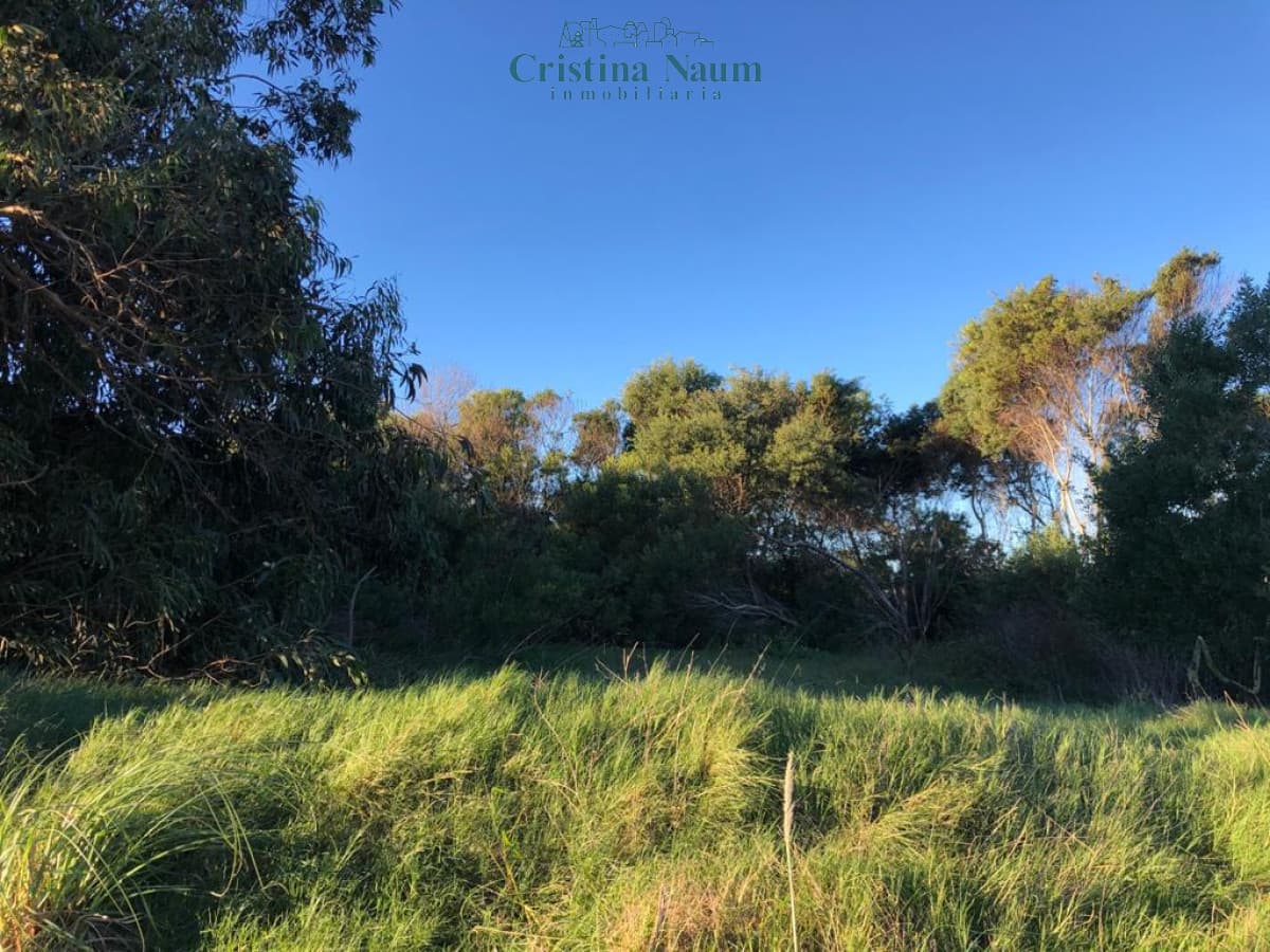 3 Terrenos en Balneario Buenos Aires  calle 40
