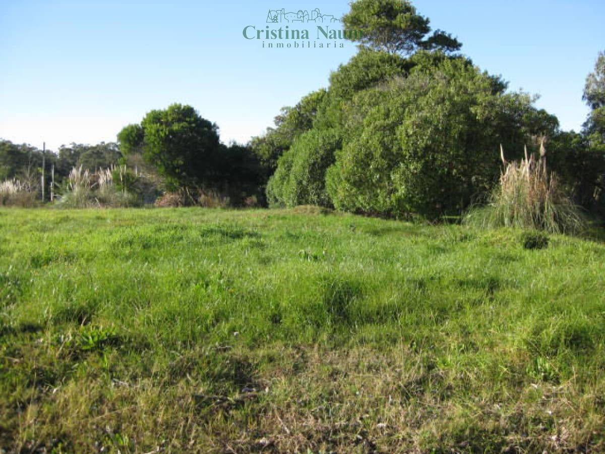 Terreno en el Chorro - Manantiales