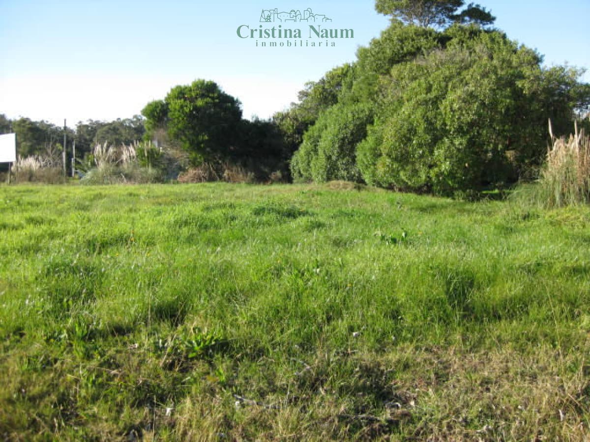 Terreno en el Chorro - Manantiales