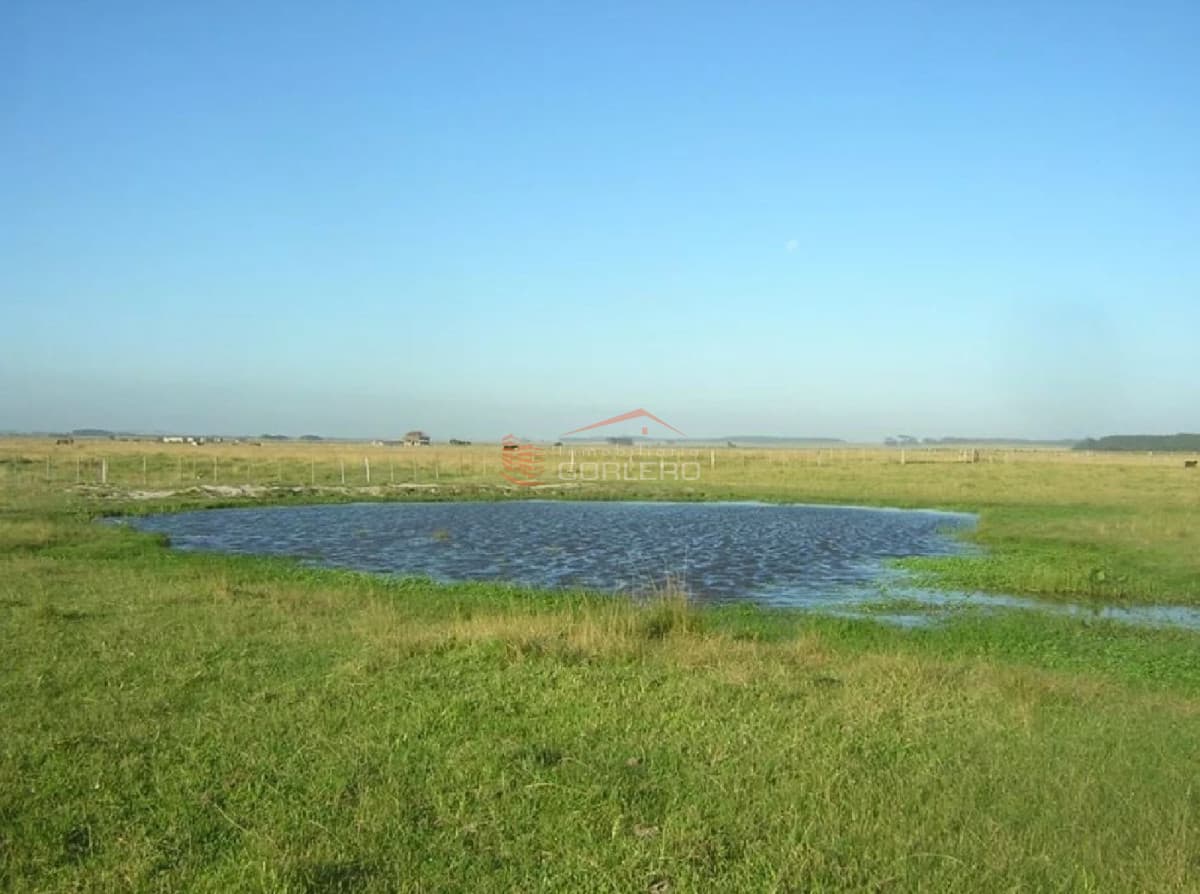 Chacras en Venta en Rocha, a pocos km de La Paloma - Inmobiliaria Gorlero