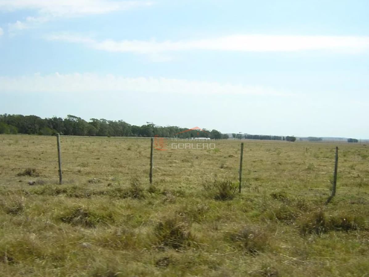 Chacras en Venta en Rocha, a pocos km de La Paloma - Inmobiliaria Gorlero