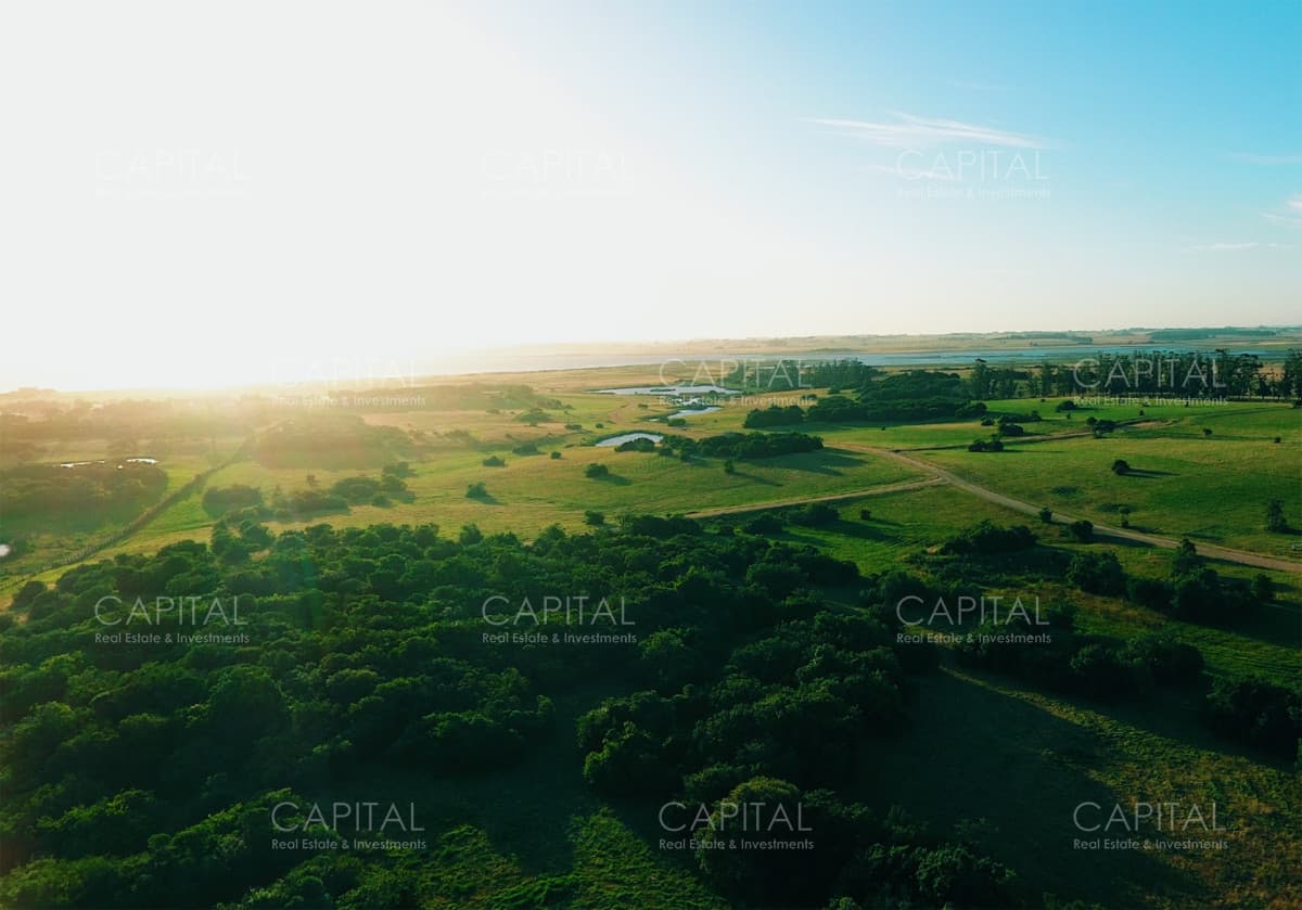 Chacras en venta sobre la Laguna de José Ignacio - Las Coronillas