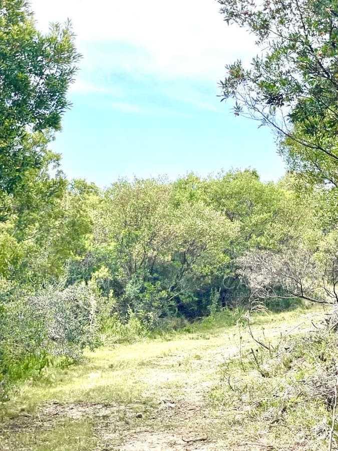 Chacra en venta de 5 hectáreas