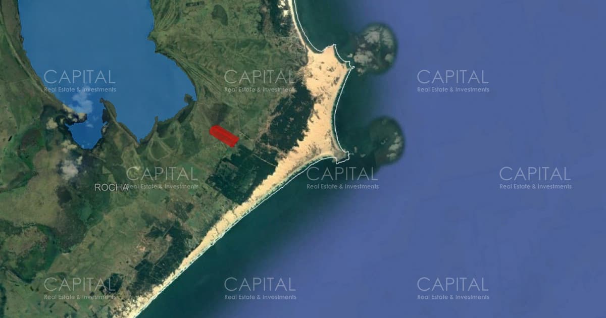 Chacra en venta de 60 hectáreas en Rocha