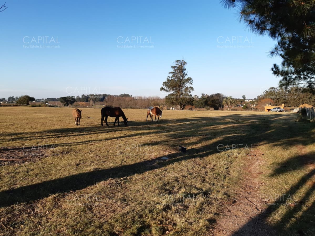 Chacra de 5HAS en venta pegado al Club de Tiro