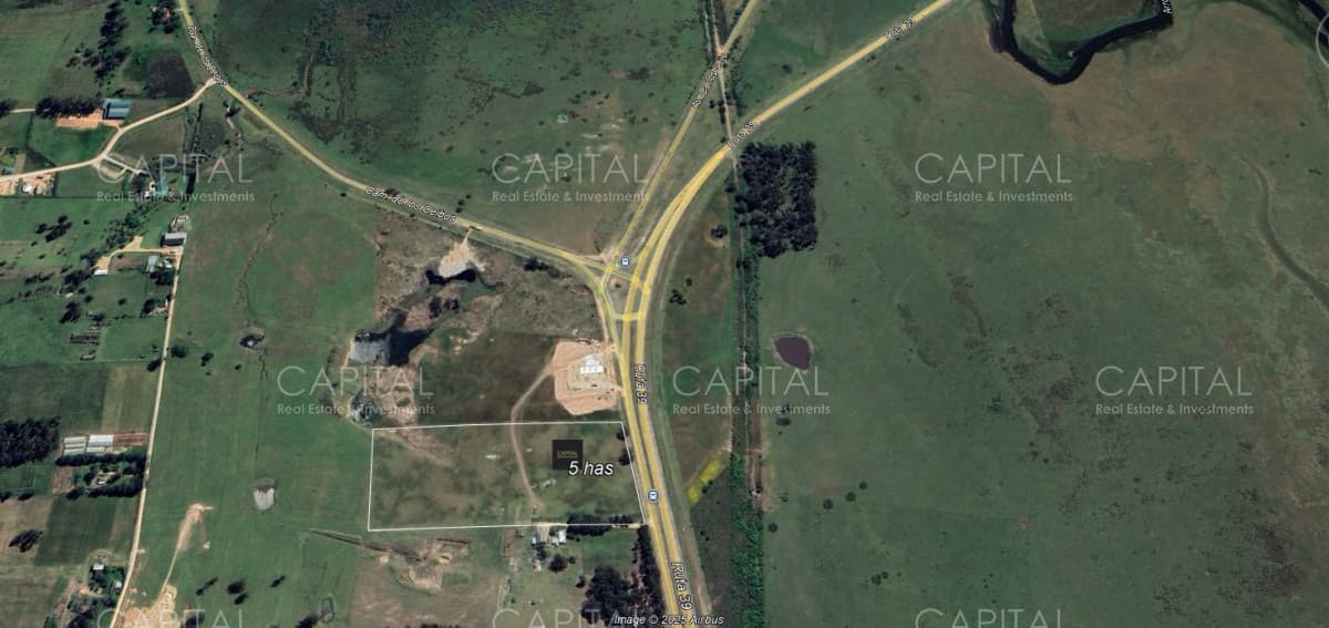 Chacra de 50.000 m2 en excelente ubicación ruta 39 y cno. los ceibos