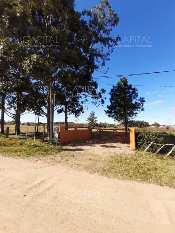 Chacra de 5HAS en venta pegado al Club de Tiro