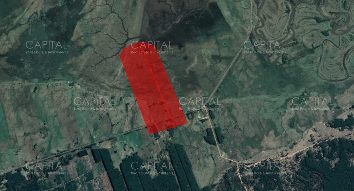 Chacra en venta de 60 hectáreas en Rocha